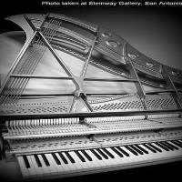 Nick's Piano Tuning image 5